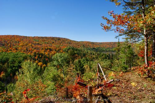 20 Mud Cat Rd, Maple Leaf, ON, K0L2R0 | Card Image