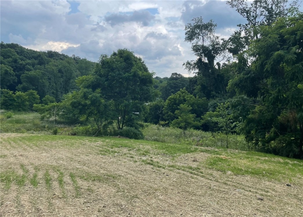 Farm in Center Twp 4