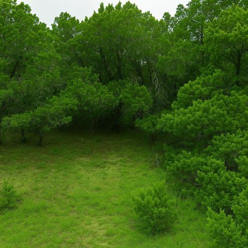 4414 Liberty Ln, Leander, TX, 78645 | Card Image