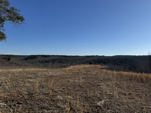 365 Twin Pines Overlook, Lobelville, TN, 37097 | Card Image