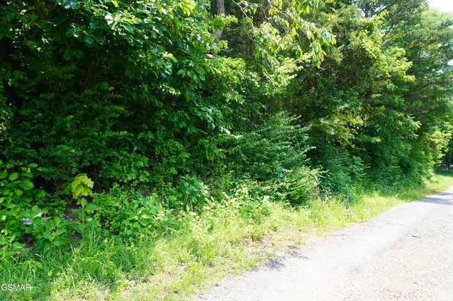 15 Raindrop Ln, Home with 0 bedrooms, 0 bathrooms and null parking in Jefferson City TN | Image 8