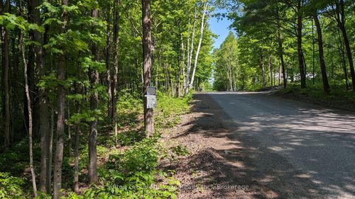 Lot 2 Tally-Ho Winter Park Road, Lake Of Bays, ON, P1H2E5 | Card Image