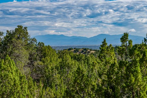 30 Blue Agave, Cerrillos, NM, 87010 | Card Image