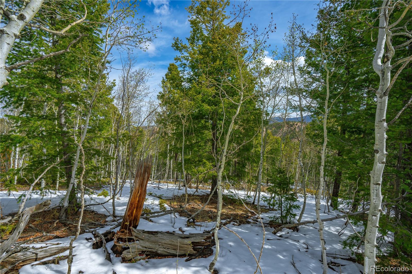 Land in Cripple Creek 5