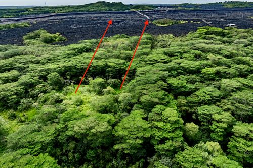 14-3847 Pahoa Kapoho Rd, PAHOA, HI, 96778-8534 | Card Image