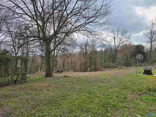 160 Grover Drive, Union Grove, AL, 35175 | Card Image