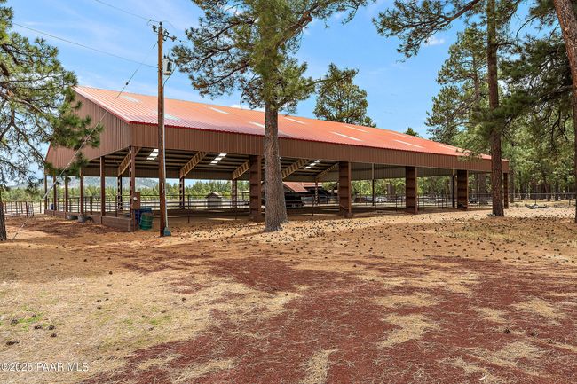 Covered Arena | Image 81