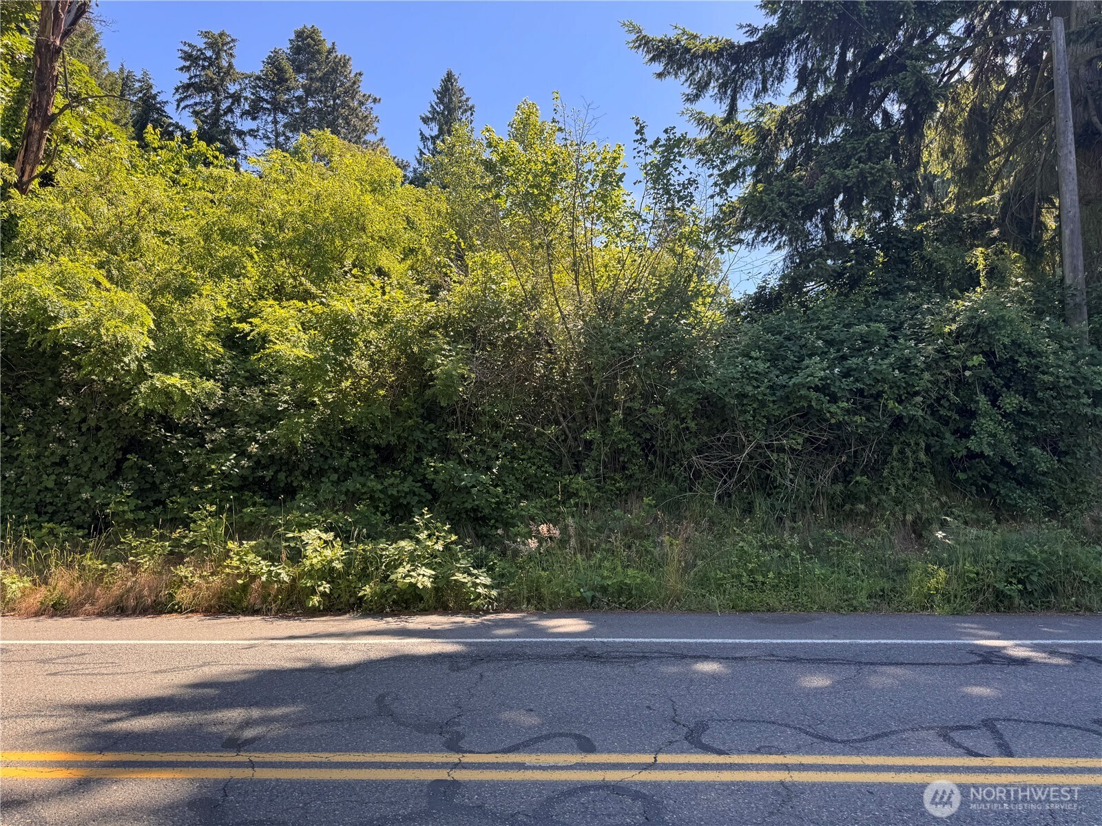 Land in Burien