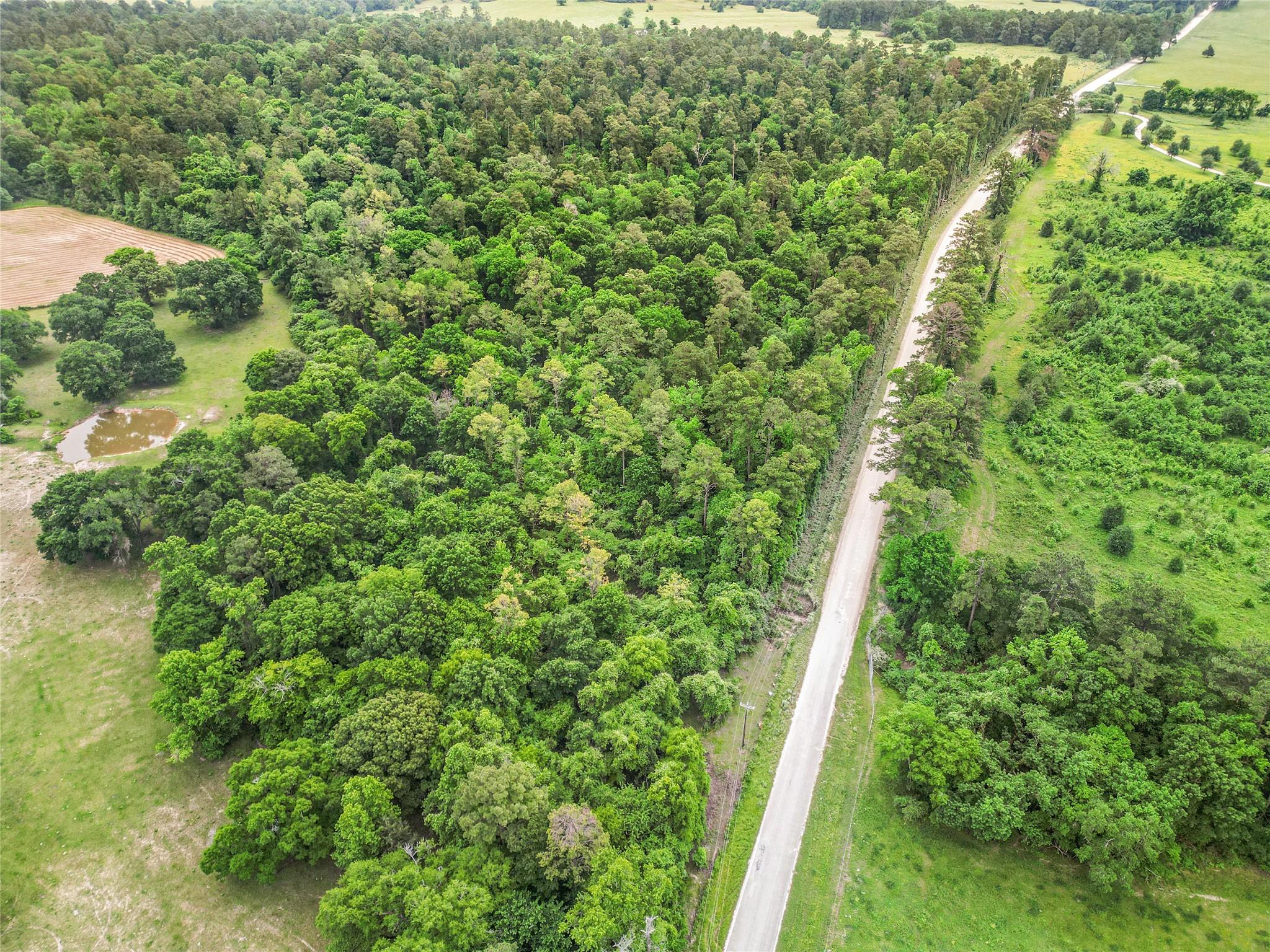 Land in Huntsville 2