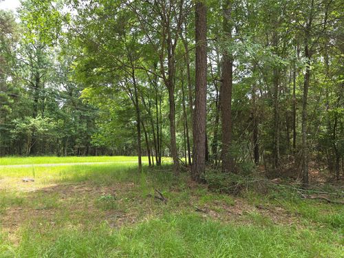 TBD Loper Lake Dr, Livingston, TX, 77351 | Card Image