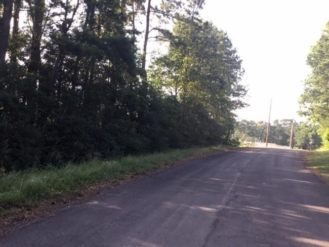 000 Navaho Trl, Home with 0 bedrooms, 0 bathrooms and null parking in Onalaska TX | Image 9