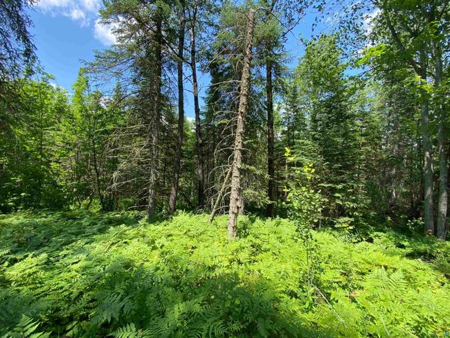 57 Munger Shaw Rd, Home with 0 bedrooms, 0 bathrooms and null parking in Saginaw MN | Image 17
