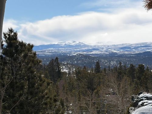 115 Wenro Ct, Red Feather Lakes, CO, 80545 | Card Image