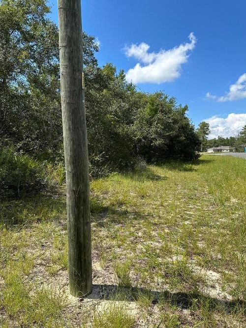 0000 Sw 168th Loop, Ocala, FL, 34473 | Card Image