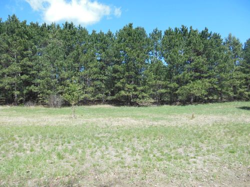 TBD Red Sequoia Dr, Baxter, MN, 56425 | Card Image