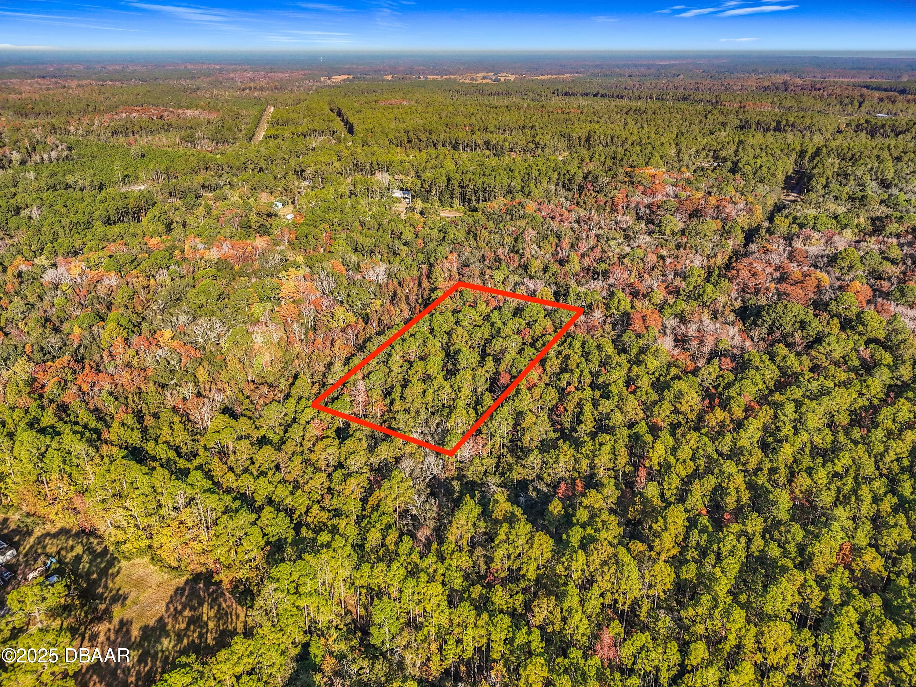 Land in Palatka 2