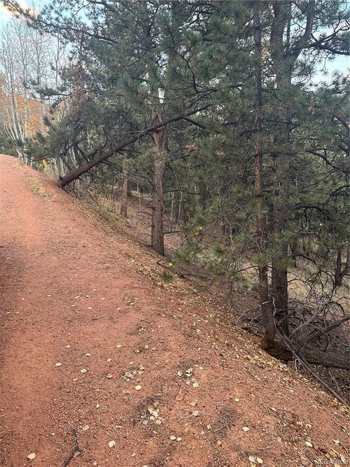 418 Valley Rd, Divide, CO, 80814-7726 | Card Image