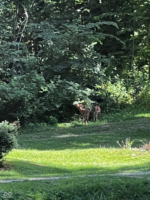 0 E Jada Lane, Mooresville, IN, 46158 | Card Image