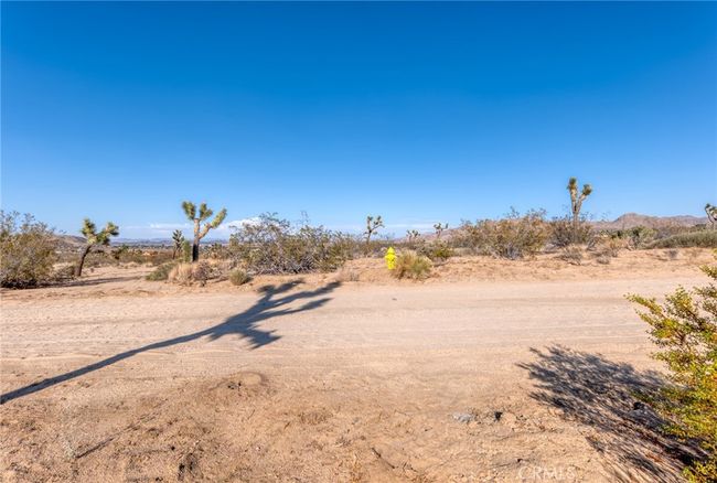 107 Juniper Rd, Home with 0 bedrooms, 0 bathrooms and null parking in Joshua Tree CA | Image 9