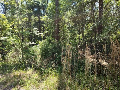 0000 Ne 66th Ave, Citra, FL, 32113 | Card Image