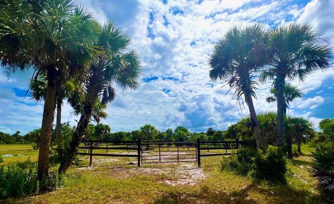 1303 Cabbage Ln, Home with 0 bedrooms, 0 bathrooms and null parking in Okeechobee FL | Image 10