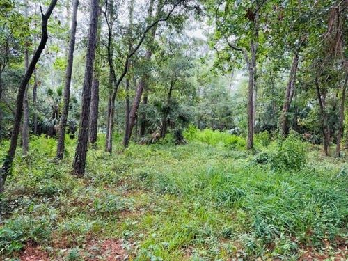 0 La Coste Court, Dauphin Island, AL, 36528 | Card Image