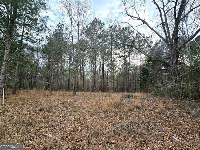 0 Willow St, Home with 0 bedrooms, 0 bathrooms and null parking in Stephens GA | Image 21