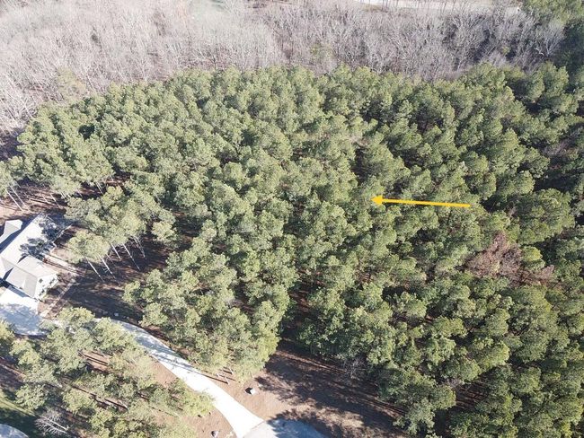 80 High Point Ln, Home with 0 bedrooms, 0 bathrooms and null parking in Jasper TN | Image 167