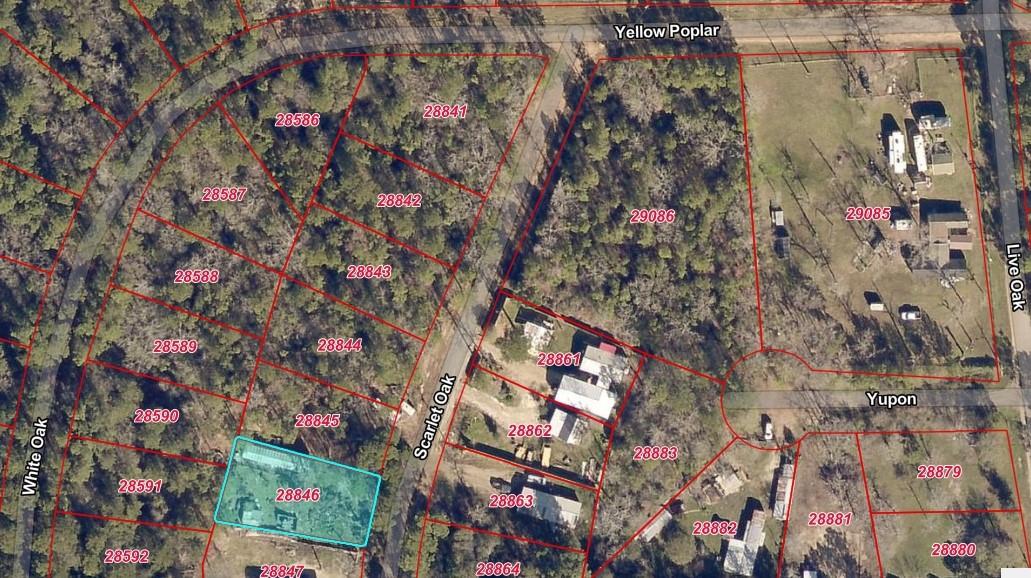 Land in Plantersville 4