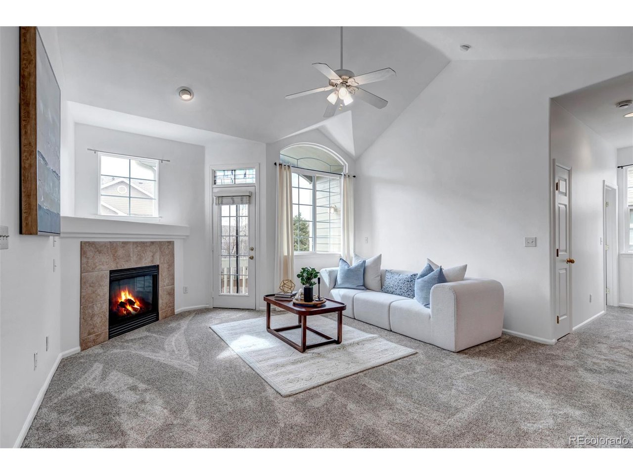 Residential in Highlands Ranch 4