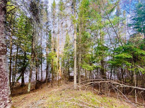 11171 S Engstad Road, Solon Springs, WI, 54873 | Card Image