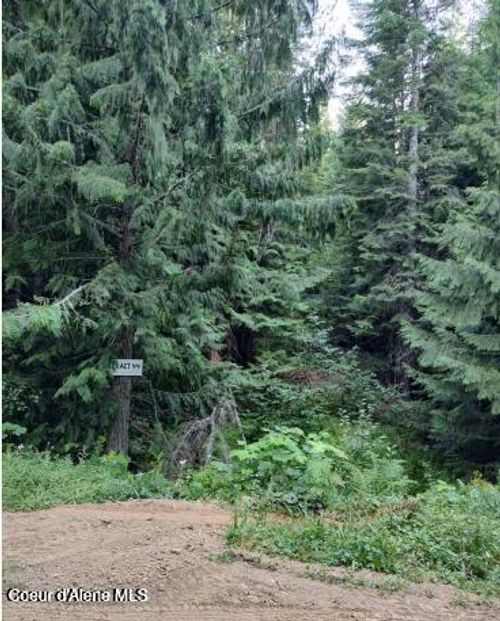 317 E Ridge Rd, St. Maries, ID, 83861 | Card Image