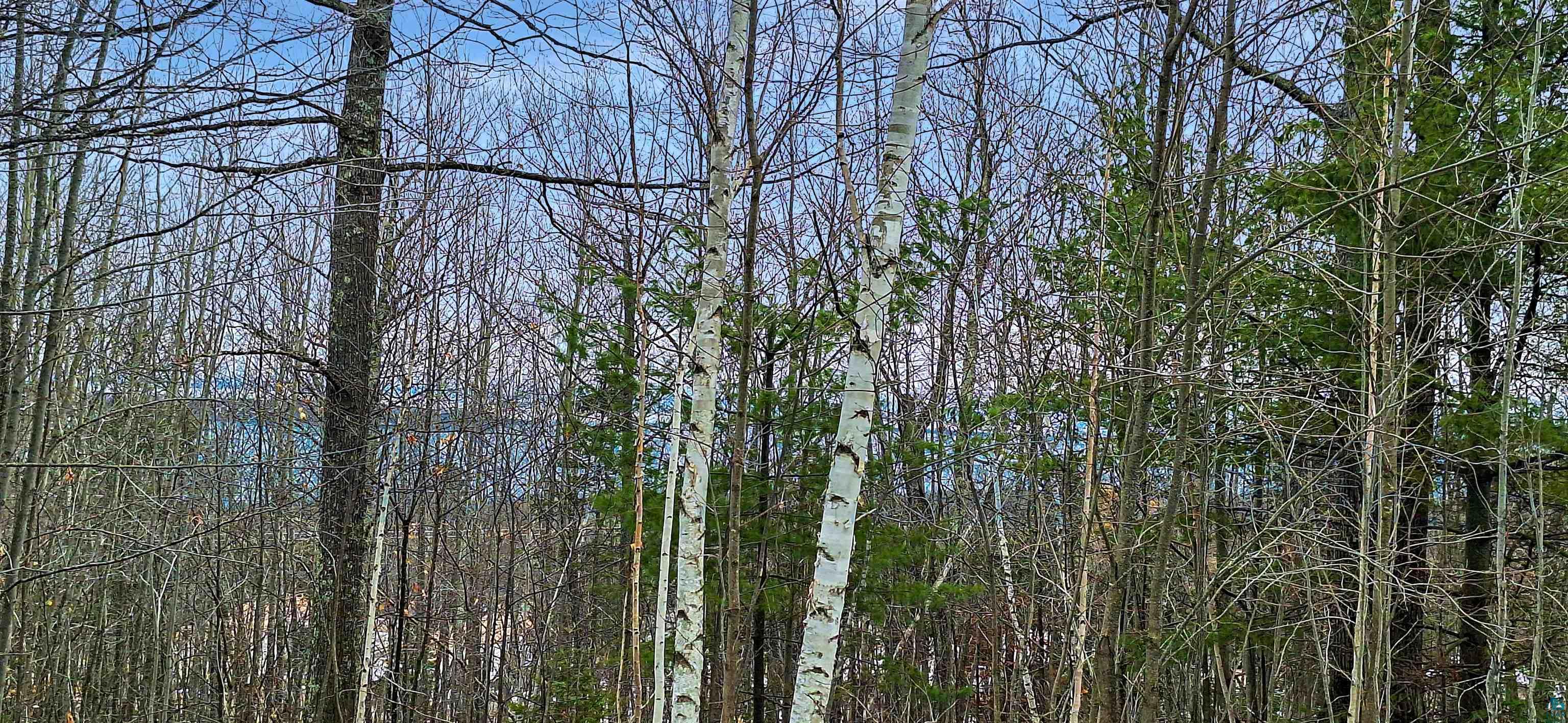 Land in Bayfield