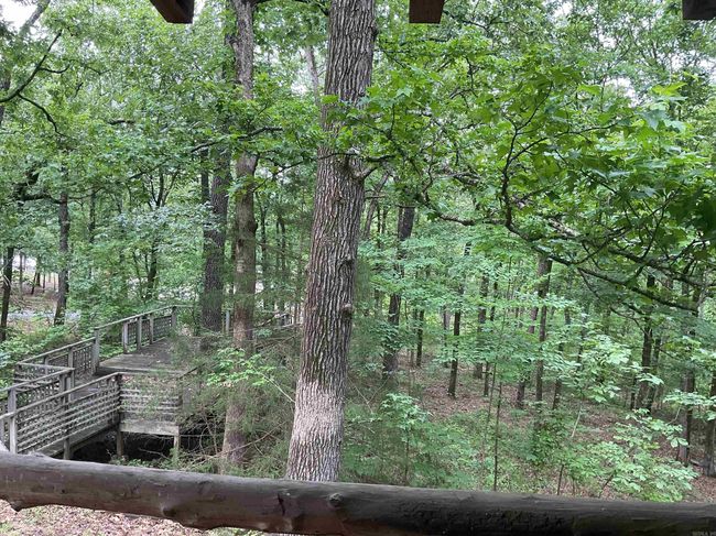 1602 Lake Cliff Rd, House other with 3 bedrooms, 2 bathrooms and null parking in Higden AR | Image 32
