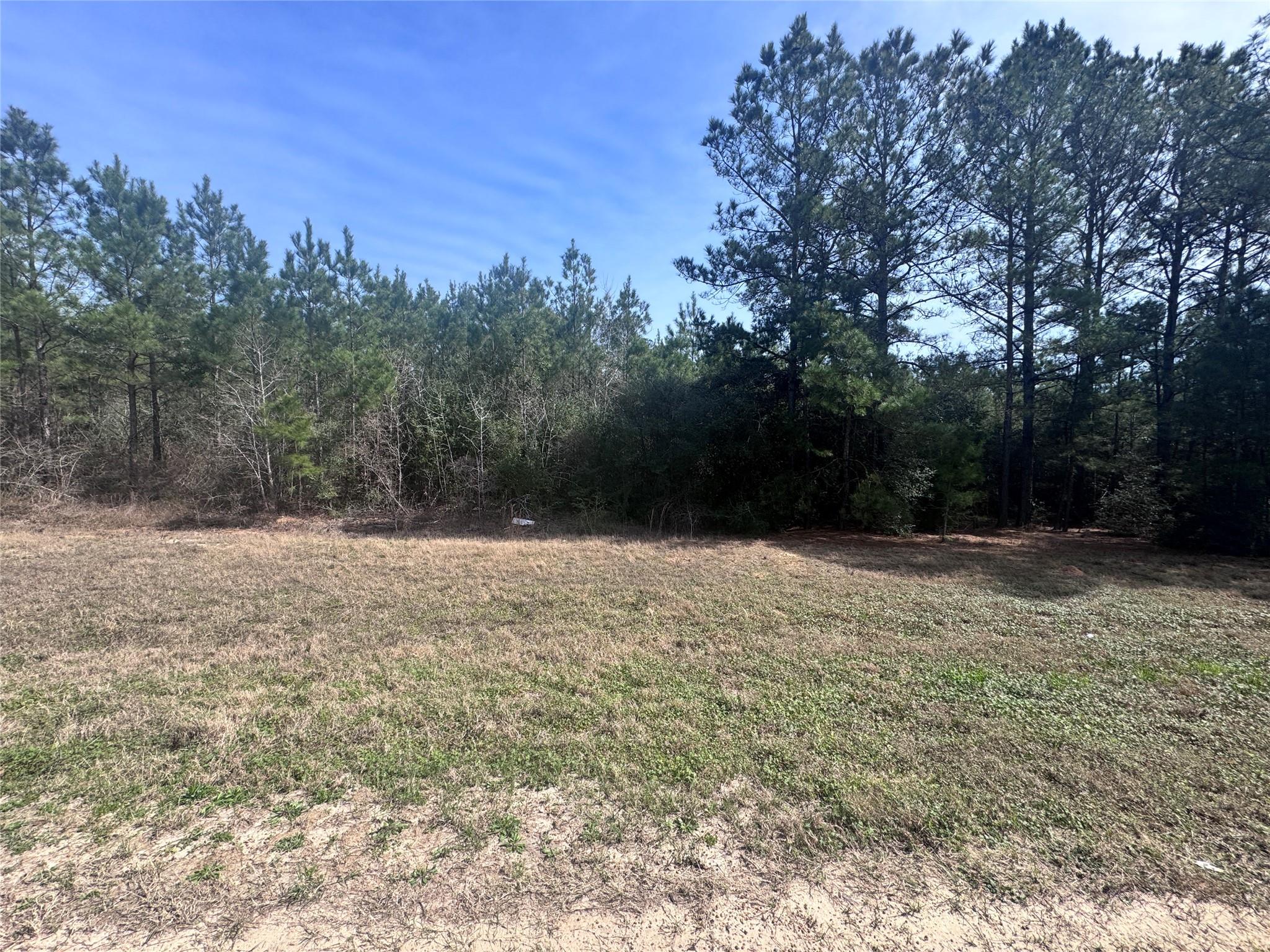 Land in Willis 3