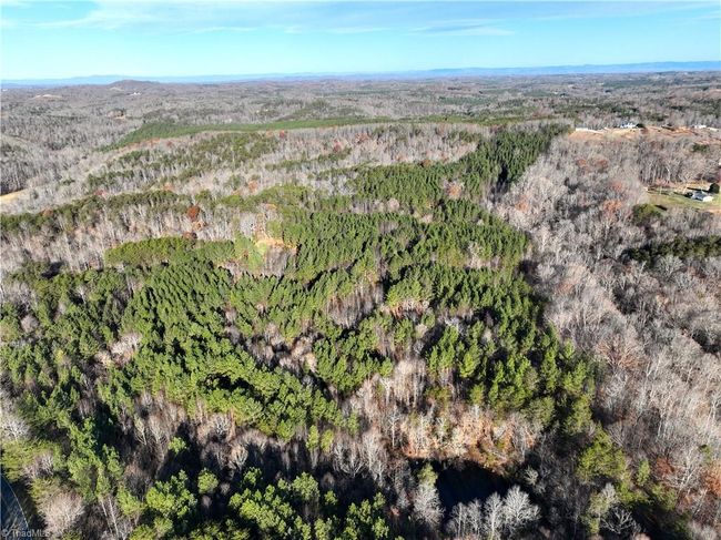 Lot 2- 0 Bowen Rd, Home with 0 bedrooms, 0 bathrooms and null parking in Pinnacle NC | Image 7