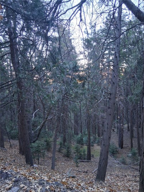 0 Reservoir Rd, Cedarpines Park, CA, 92322 | Card Image