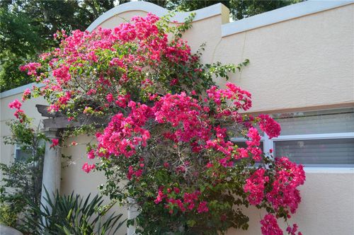 5-1757 Hillview St, Sarasota, FL, 34239-2136 | Card Image