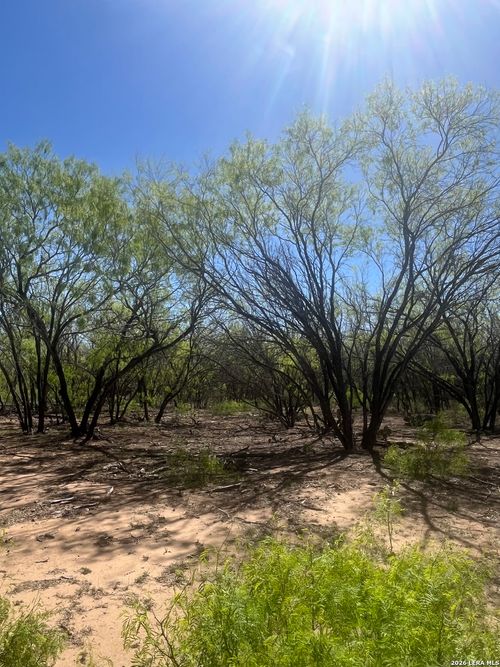 LOT 1 Ih 37, Pleasanton, TX, 78064-6208 | Card Image