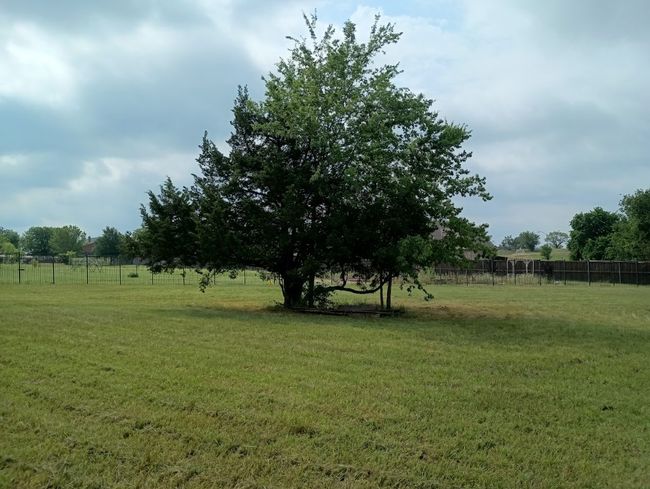 3100 Briarcliff Cir, Home with 0 bedrooms, 0 bathrooms and null parking in Gainesville TX | Image 5