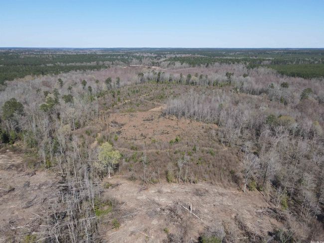 00 Highway 278 Highway, Home with 0 bedrooms, 0 bathrooms and null parking in Rosston AR | Image 20