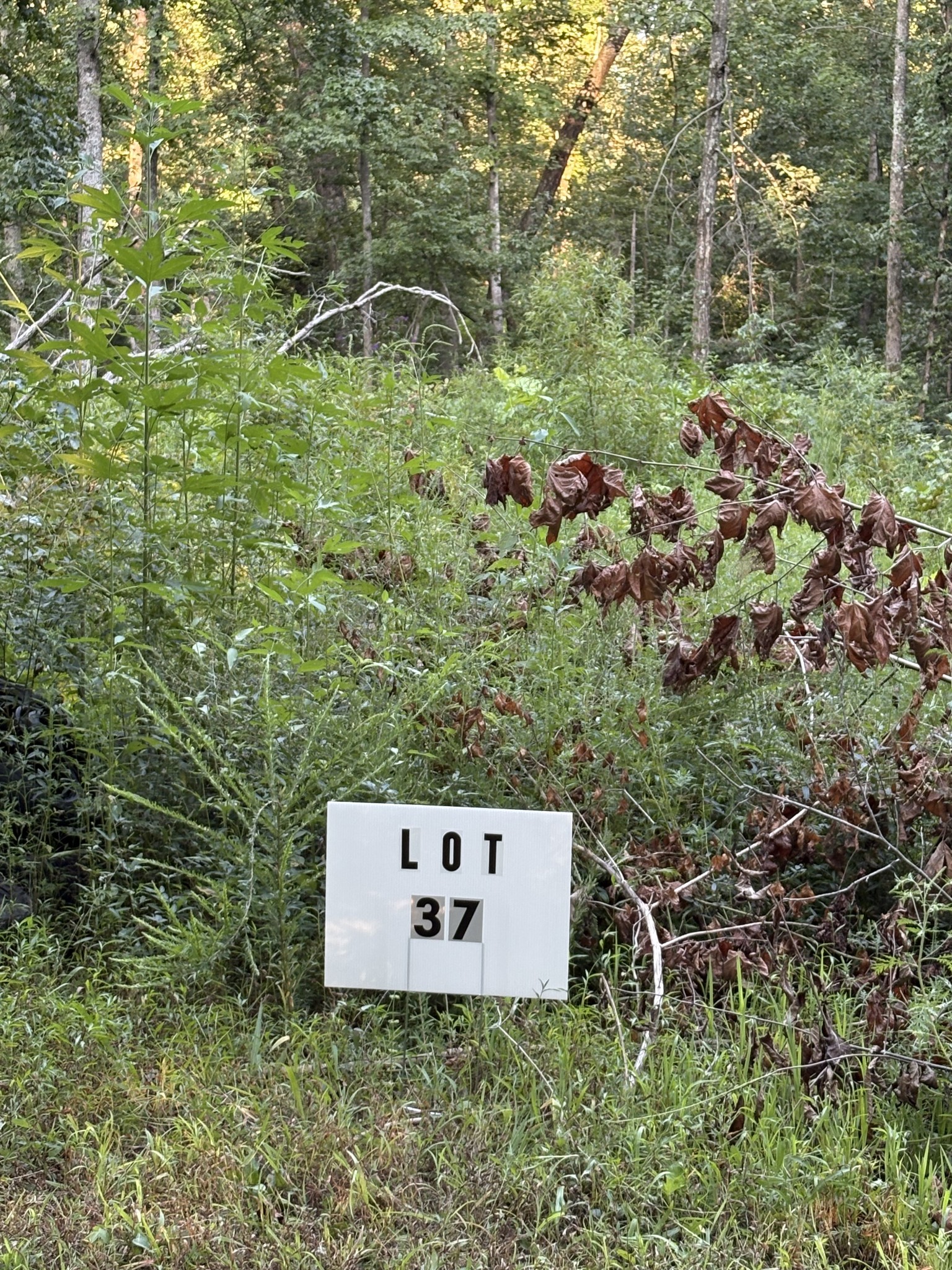 Land in Beechgrove