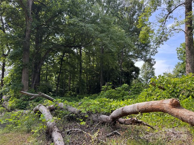 0000 Ranger Rd, Home with 0 bedrooms, 0 bathrooms and null parking in Clover SC | Image 7