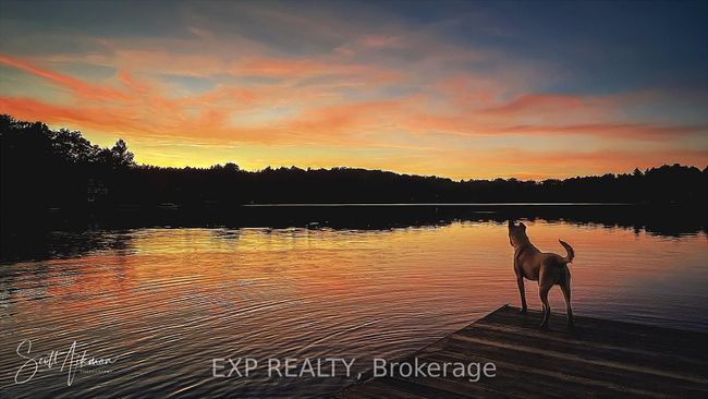 3120 County Rd 504, House other with 2 bedrooms, 1 bathrooms and 10 parking in Apsley ON | Image 33