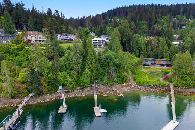 Aerial view of a forest and a nearby body of water | Image 37