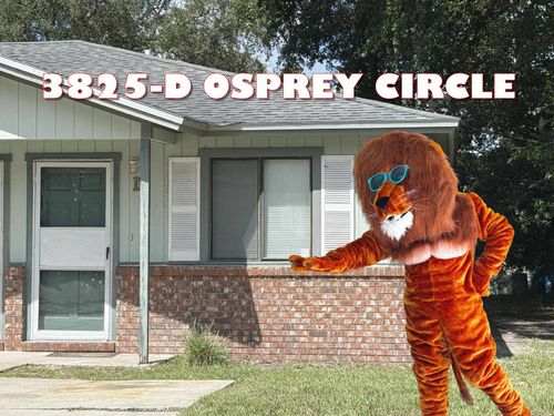 d-3825 Osprey Cir, St Augustine, FL, 32086-5539 | Card Image