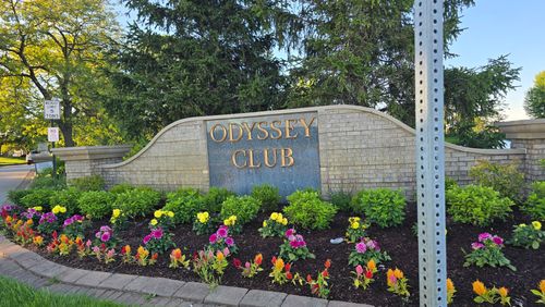53 Odyssey Dr, Tinley Park, IL, 60477-4853 | Card Image