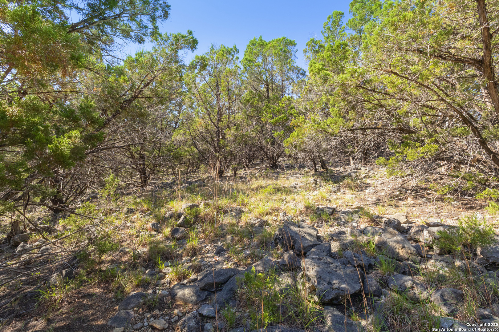Land in Spring Branch 4
