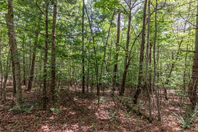 26.18 AC Green Road, Home with 0 bedrooms, 0 bathrooms and null parking in Young Harris GA | Image 14