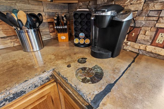 For fossil enthusiasts...ammonites are plentiful on Lake Texoma's shores! | Image 24